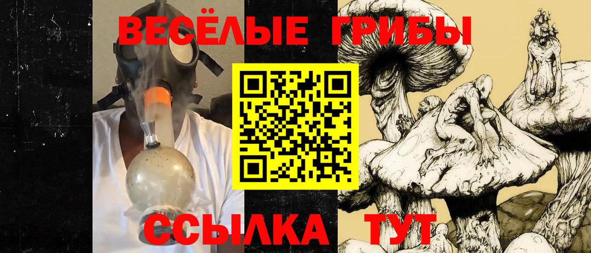Хабаровск  Галлюциногенные грибы GOLDEN TEACHER  Вход с VPN  Псилоцибиновые грибы Psilocybine cubensis 
