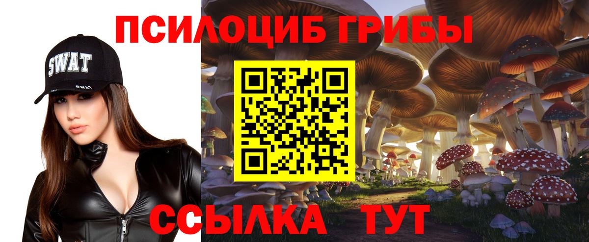 Псилоцибиновые грибы мицелий Хабаровск